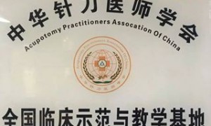 2018年6月世界针刀医学会联合会委员入选资质培训